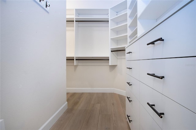12841 Balsam Ter, Bradenton, FL 34212 - walk in closet with wood finished floors