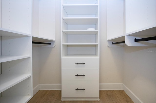 12841 Balsam Ter, Bradenton, FL 34212 - walk in closet featuring light wood-style flooring