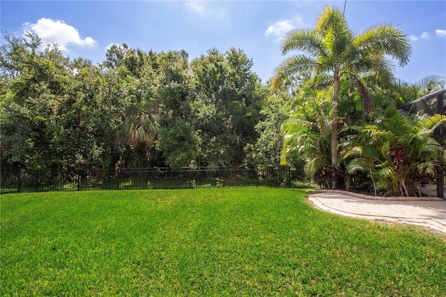 12841 Balsam Ter, Bradenton, FL 34212 - view of yard
