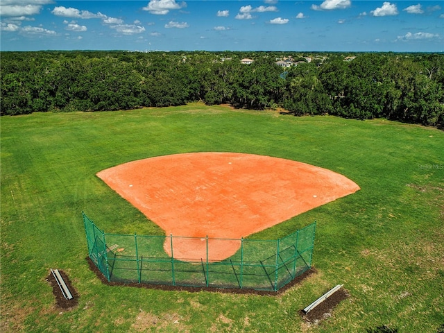 12841 Balsam Ter, Bradenton, FL 34212 - view of yard