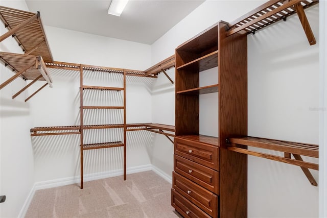 walk in closet featuring light carpet