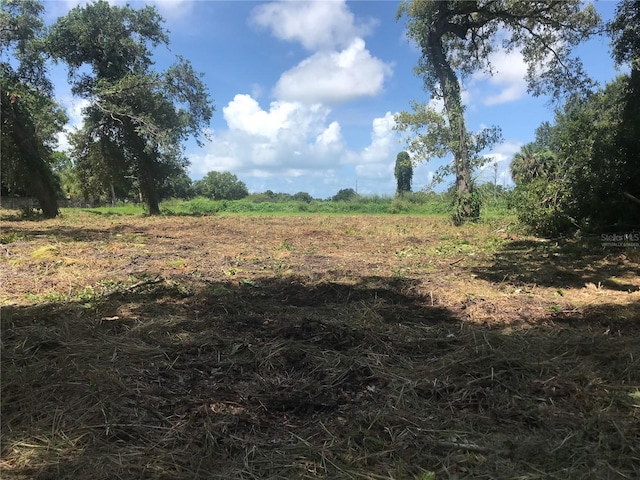 3901 30th Ave S, Saint Petersburg, FL 33711 - view of nature