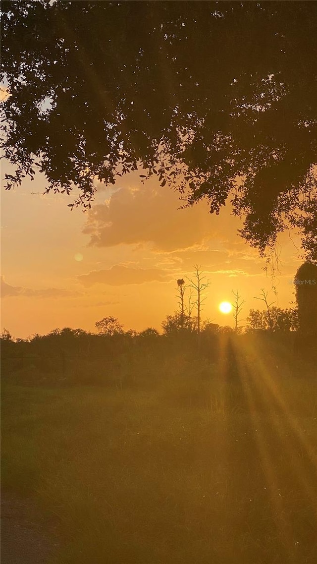 3901 30th Ave S, Saint Petersburg, FL 33711 - view of nature at dusk