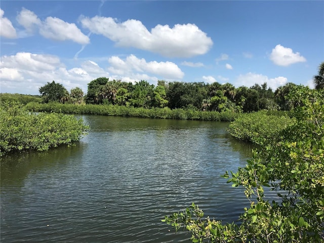 3901 30th Ave S, Saint Petersburg, FL 33711 - property view of water