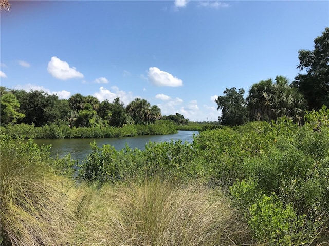 3901 30th Ave S, Saint Petersburg, FL 33711 - property view of water featuring a view of trees