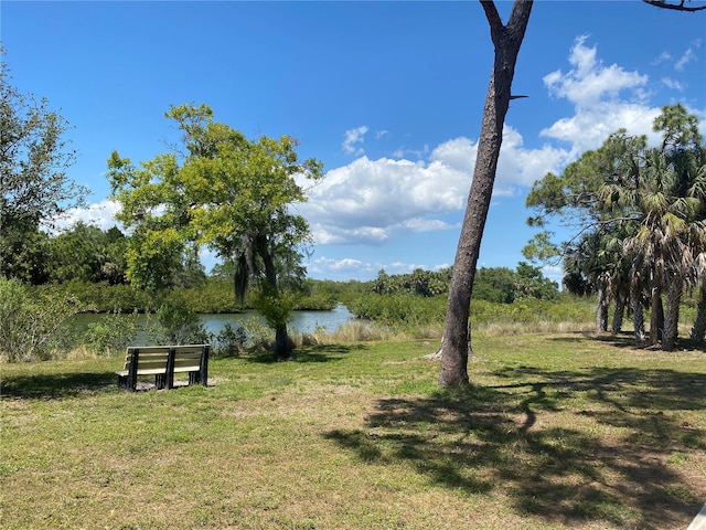 3901 30th Ave S, Saint Petersburg, FL 33711 - view of yard with a water view