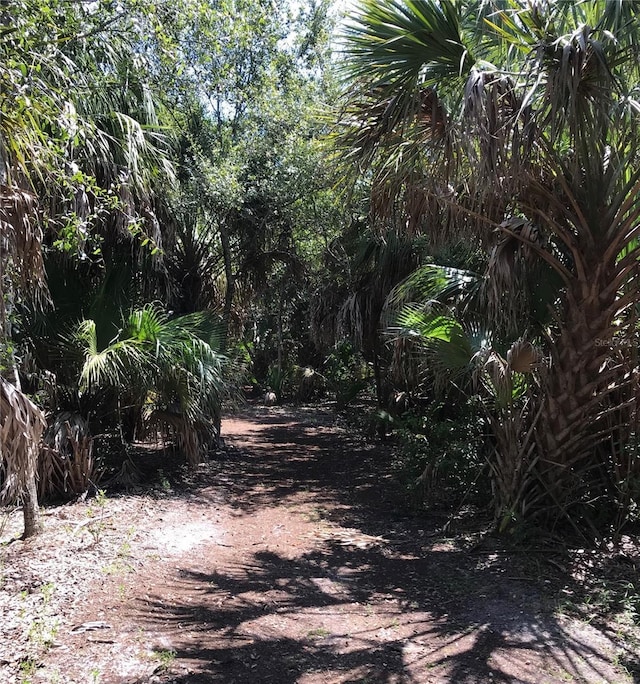 3901 30th Ave S, Saint Petersburg, FL 33711 - view of road