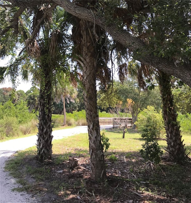 3901 30th Ave S, Saint Petersburg, FL 33711 - view of yard