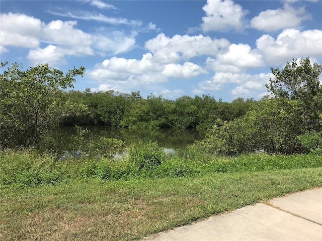 3901 30th Ave S, Saint Petersburg, FL 33711 - view of landscape featuring a water view