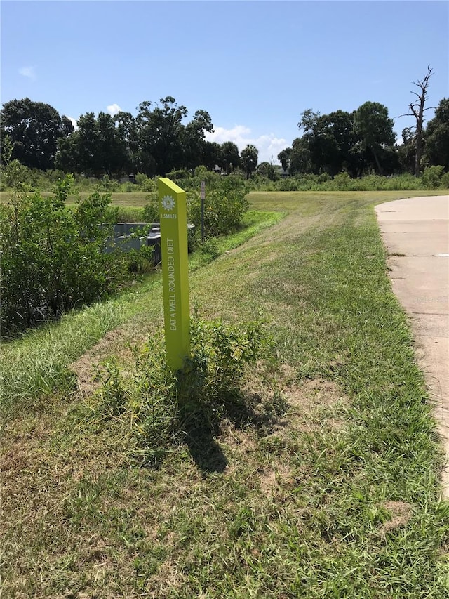 3901 30th Ave S, Saint Petersburg, FL 33711 - view of yard