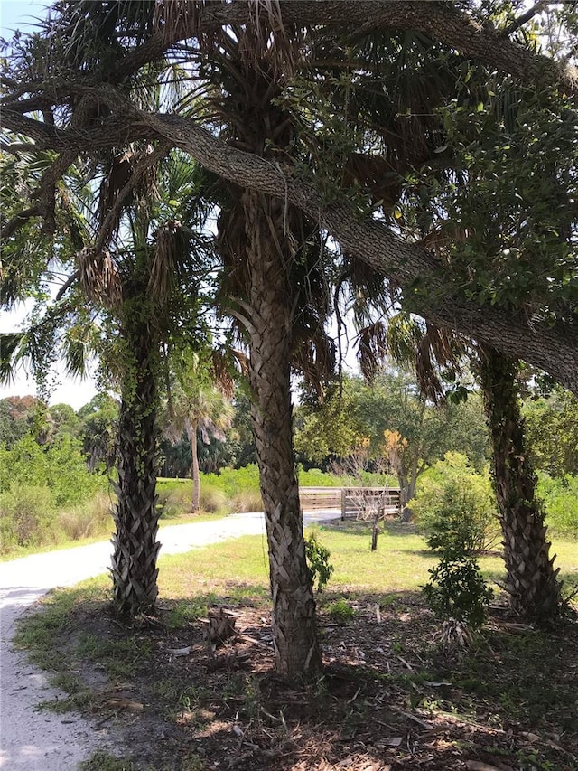 3901 30th Ave S, Saint Petersburg, FL 33711 - view of yard