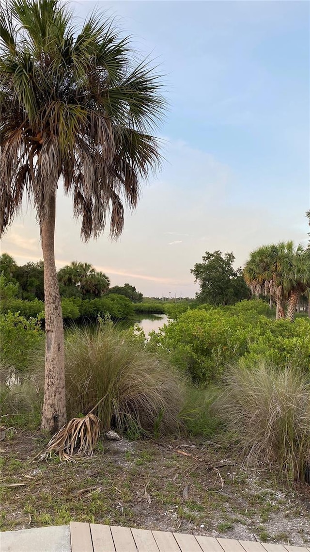 3901 30th Ave S, Saint Petersburg, FL 33711 - nature at dusk featuring a water view