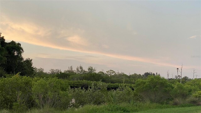 3901 30th Ave S, Saint Petersburg, FL 33711 - view of nature at dusk