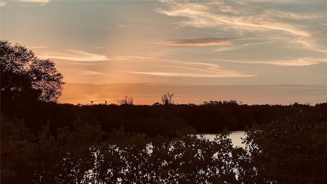 3901 30th Ave S, Saint Petersburg, FL 33711 - nature at dusk with a water view
