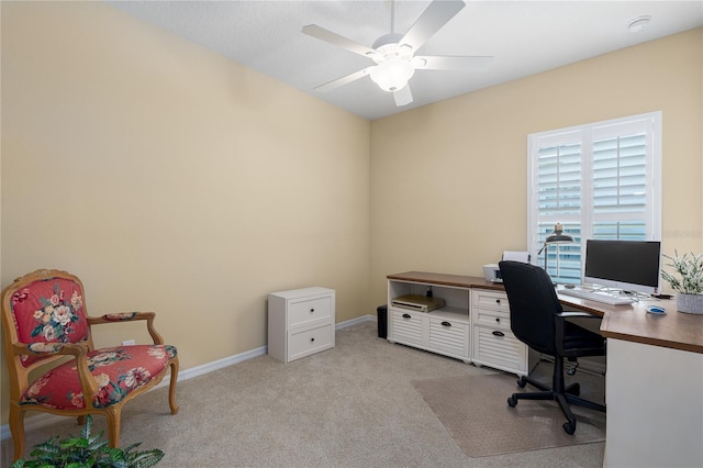 11021 Blue Magnolia Ln, Parrish, FL 34219 - photo 14