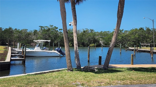dock area featuring a water view and boat lift