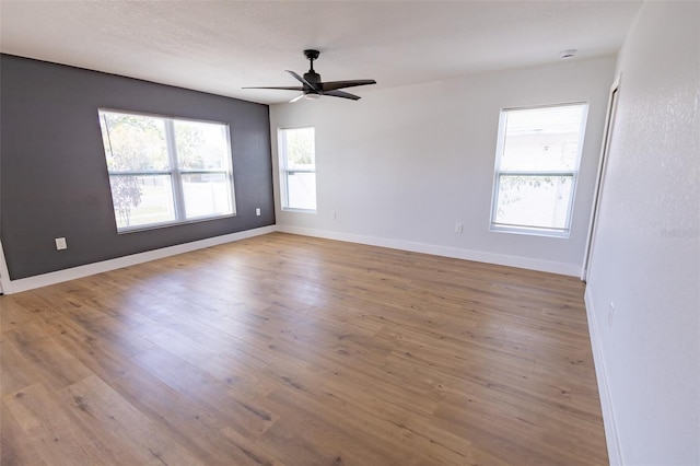 4501 20th Ave S, Saint Petersburg, FL 33711 - photo 12