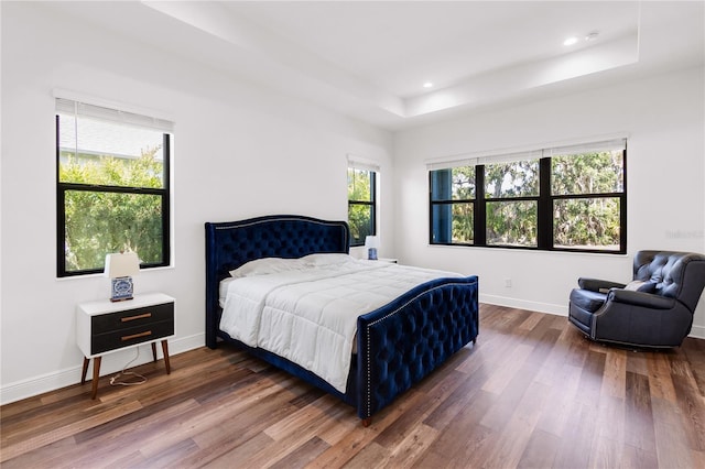 4308 Fly Rod Ter, Parrish, FL 34219 - bedroom featuring baseboards, recessed lighting, a tray ceiling, and dark wood-style floors
