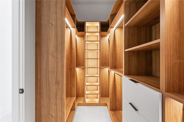 view of walk in closet