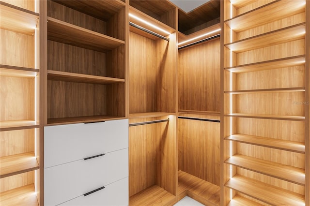 view of walk in closet