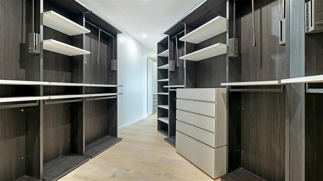 1540 Hillview Dr, Sarasota, FL 34239 - walk in closet with light wood-style flooring