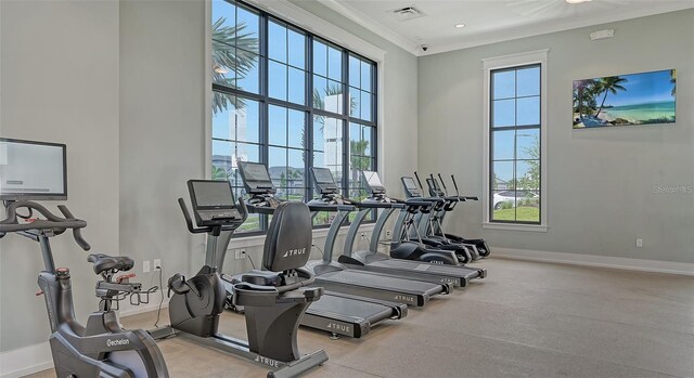 17502 Savory Mist Cir, Bradenton, FL 34211 - exercise room with baseboards, ornamental molding, and recessed lighting
