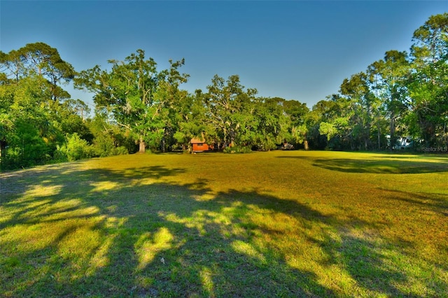 3406 67th Street Ct E, Bradenton, FL 34208 - view of yard