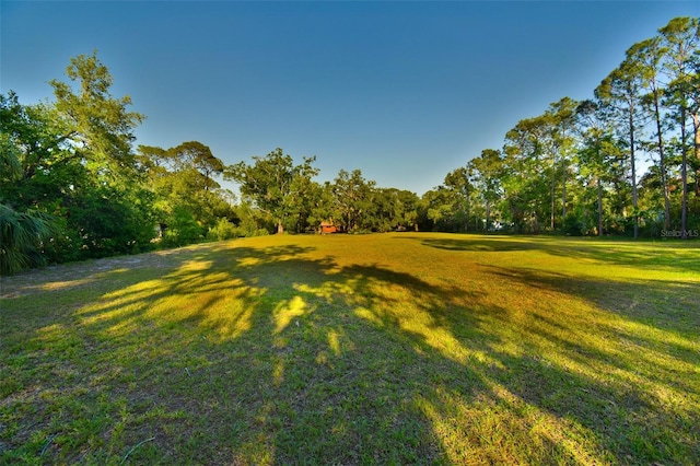 3406 67th Street Ct E, Bradenton, FL 34208 - view of yard