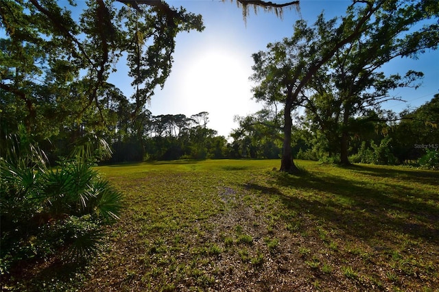 3406 67th Street Ct E, Bradenton, FL 34208 - view of yard