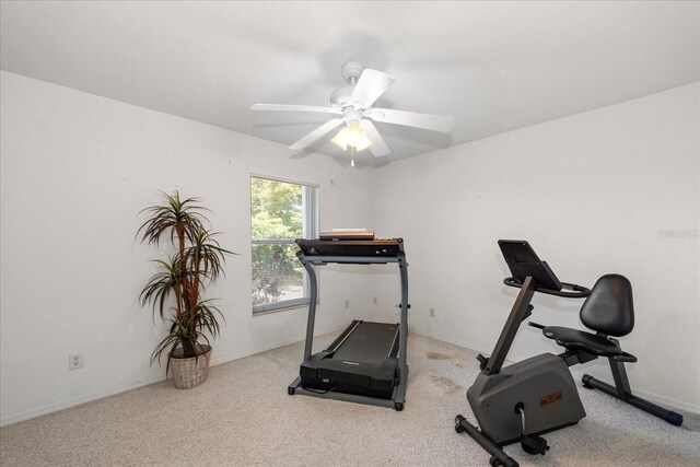 4219 Eastlake Ct, Port Charlotte, FL 33948 - workout room featuring carpet flooring, ceiling fan, and baseboards