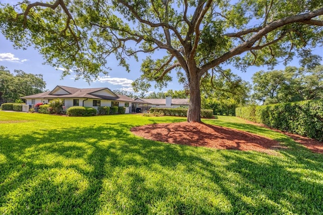 4806 Huntleigh Dr, Sarasota, FL 34233 - view of yard