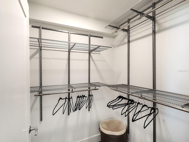 view of walk in closet
