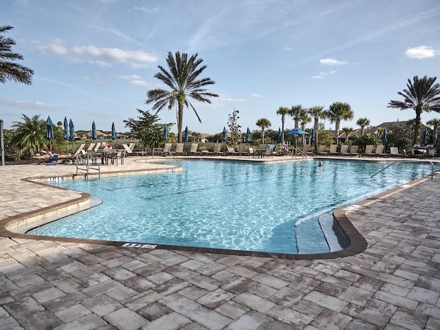 5952 Snowy Egret Dr, Sarasota, FL 34238 - pool with a patio area