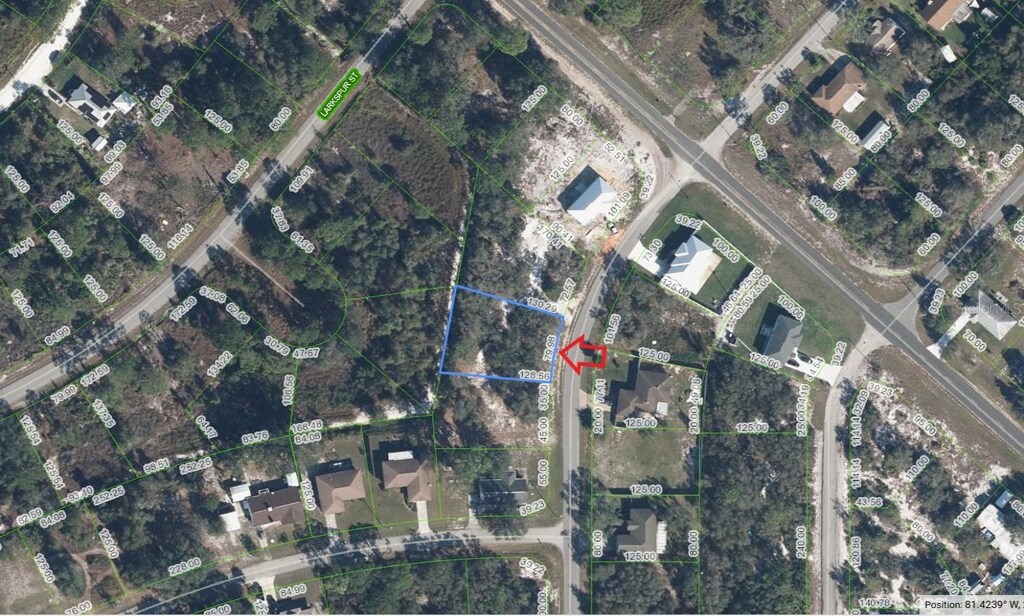 915 Tea Rose St, Lake Placid, FL 33852 - photo 1