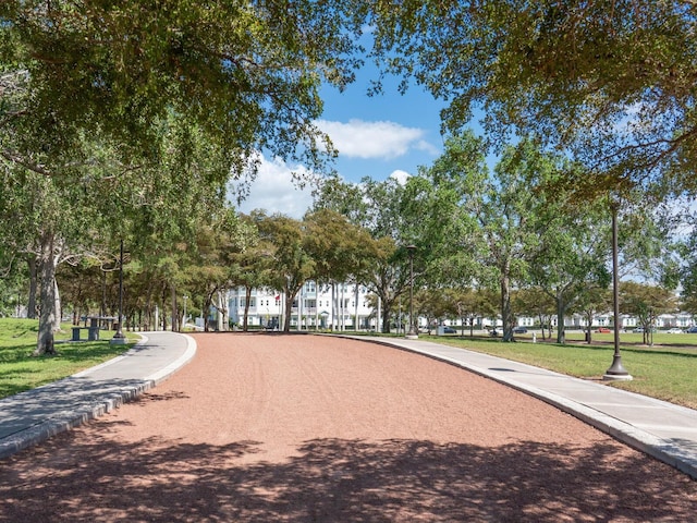 view of community with a yard