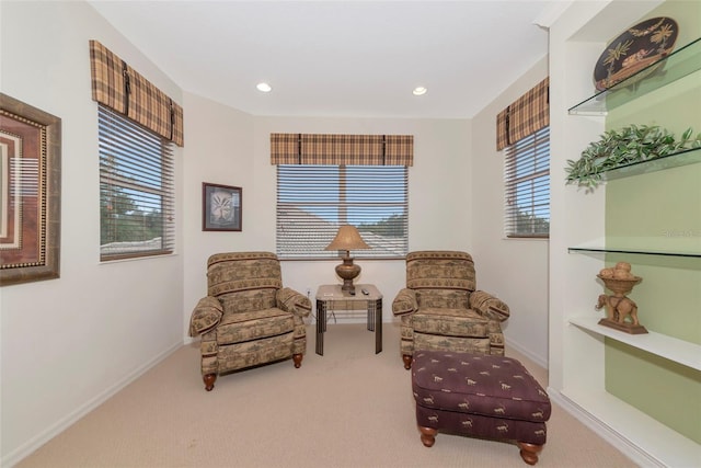 6442 Tailfeather Way, Bradenton, FL 34203 - photo 18