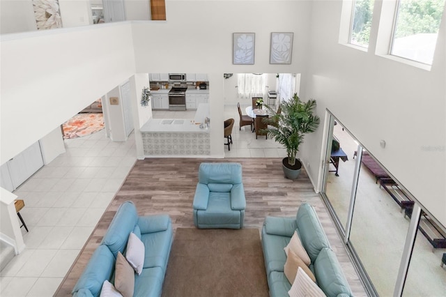 sunken living room featuring a high ceiling