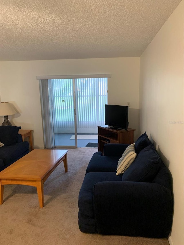 4502 3rd Street Cir W Unit 242, Bradenton, FL 34207 - living room featuring carpet and a textured ceiling