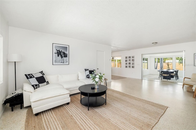 living room featuring a healthy amount of sunlight and speckled floor