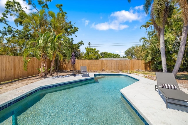 view of pool with a patio, a fenced in pool, and a fenced backyard