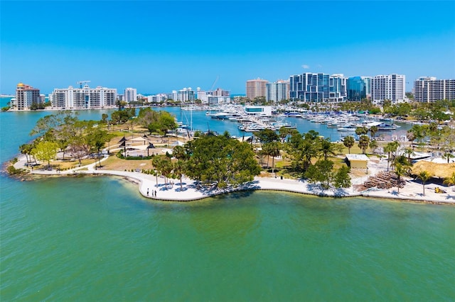 drone / aerial view with a water view and a city view