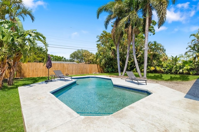 view of pool with a fenced backyard, a patio, and a fenced in pool