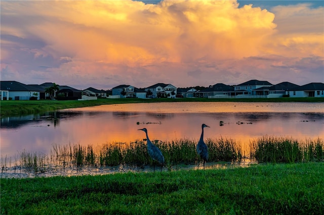 11702 Tetrafin Dr, Riverview, FL 33579 - water view featuring nearby suburban area