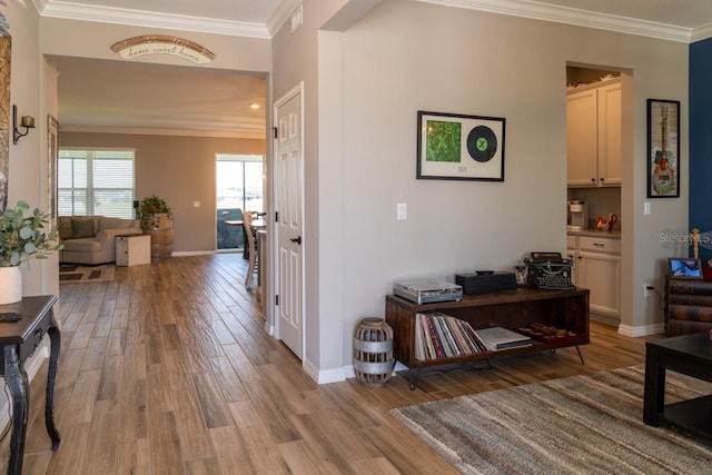 11702 Tetrafin Dr, Riverview, FL 33579 - hall featuring light wood-style floors, ornamental molding, and baseboards