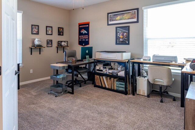 11702 Tetrafin Dr, Riverview, FL 33579 - carpeted home office with baseboards