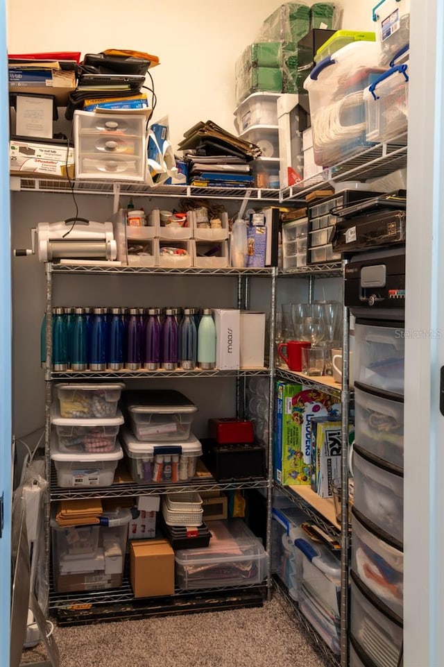 11702 Tetrafin Dr, Riverview, FL 33579 - view of storage room