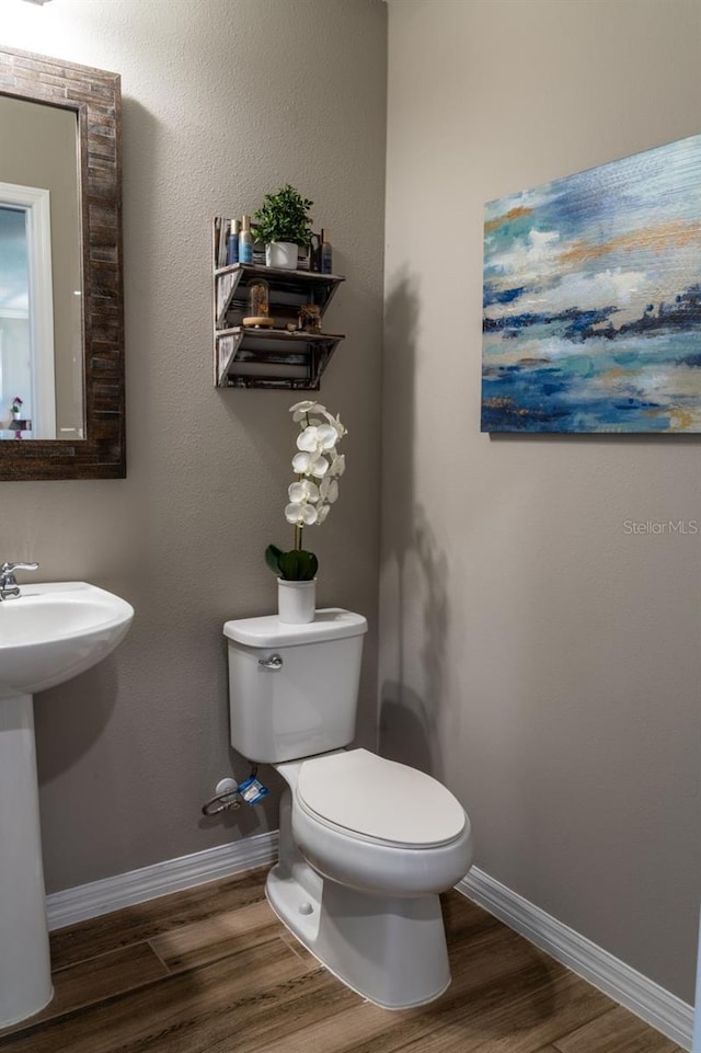 11702 Tetrafin Dr, Riverview, FL 33579 - bathroom with toilet, wood finished floors, baseboards, and a sink
