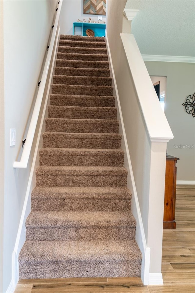 11702 Tetrafin Dr, Riverview, FL 33579 - staircase featuring wood finished floors, baseboards, and ornamental molding