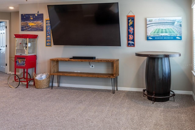 11702 Tetrafin Dr, Riverview, FL 33579 - living room with carpet floors and baseboards