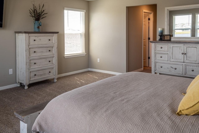11702 Tetrafin Dr, Riverview, FL 33579 - carpeted bedroom with baseboards